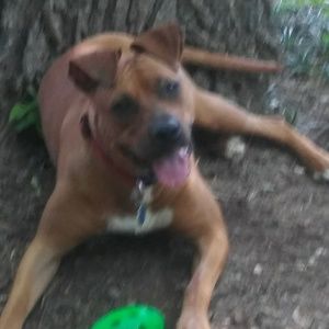 Meet your Posher, Dan